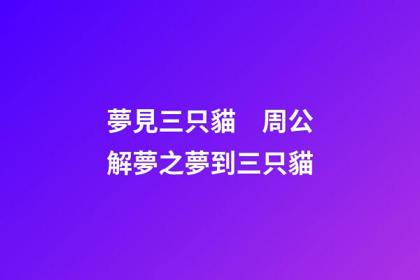 夢見三只貓　周公解夢之夢到三只貓